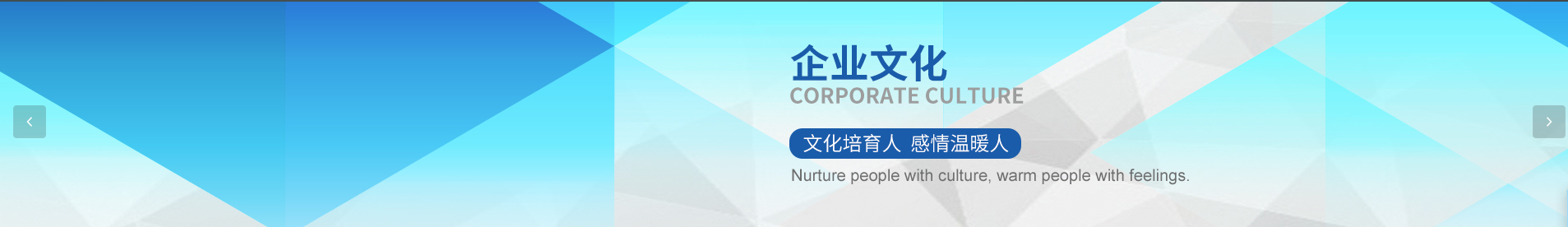 Company Culture - Solar simulator LED module 200-1750nm